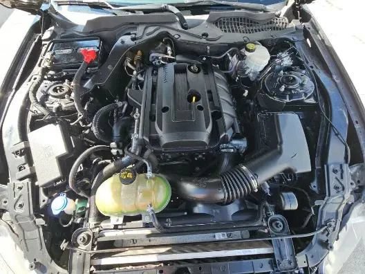 Used 2019 Ford Mustang Coupe RWD image 10