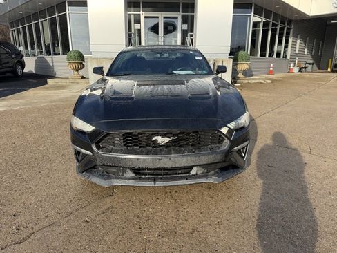 Used 2019 Ford Mustang Coupe w/ Ecoboost Performance Package image 2