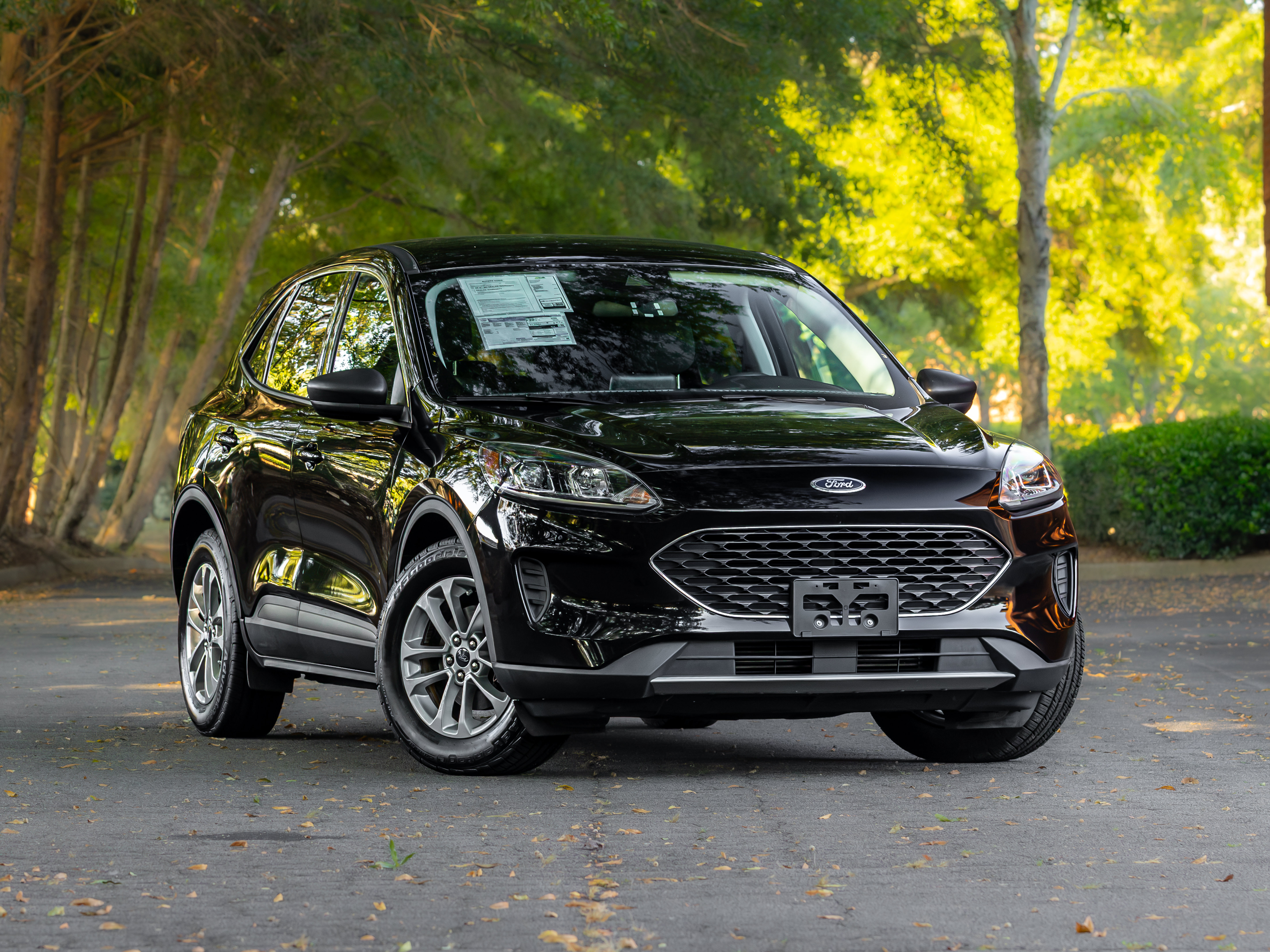 Used 2022 Ford Escape SE FWD image 1