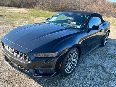 Used 2025 Ford Mustang Premium image 5