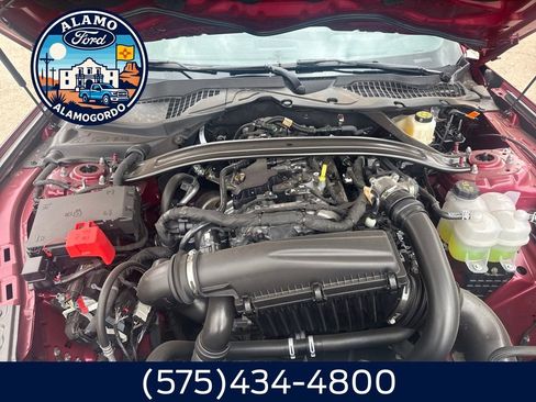 New 2026 Ford Mustang Premium RWD image 19