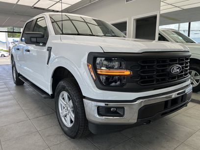 New 2025 Ford F150 XL w/ Equipment Group 103A High