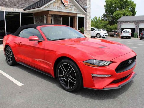 Used 2020 Ford Mustang Premium RWD image 3