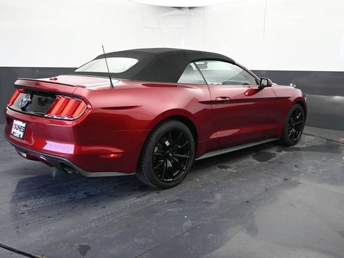 Used 2015 Ford Mustang Premium w/ Equipment Group 201A RWD image 9