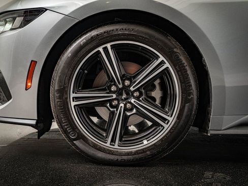 Used 2025 Ford Mustang Premium image 14