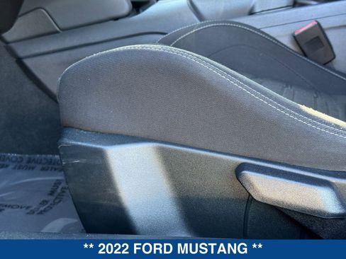 Used 2022 Ford Mustang Mach 1 image 19