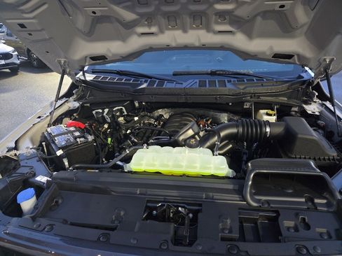 New 2025 Ford F150 STX w/ Equipment Group 200A image 45