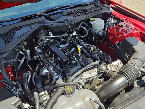 Used 2023 Ford Mustang Coupe w/ Equipment Group 101A RWD image 15
