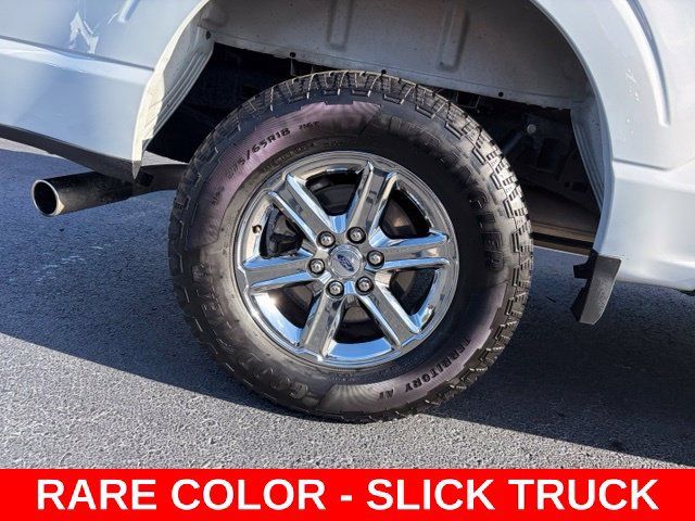 Used 2025 Ford F150 XLT w/ Equipment Group 301A Standard AWD/4WD image 7