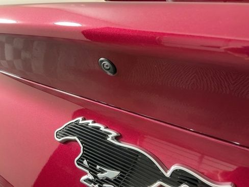 New 2025 Ford Mustang Mach-E Premium w/ Interior Protection Package image 9