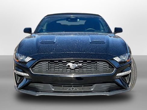 Used 2023 Ford Mustang Convertible w/ Equipment Group 101A RWD image 3