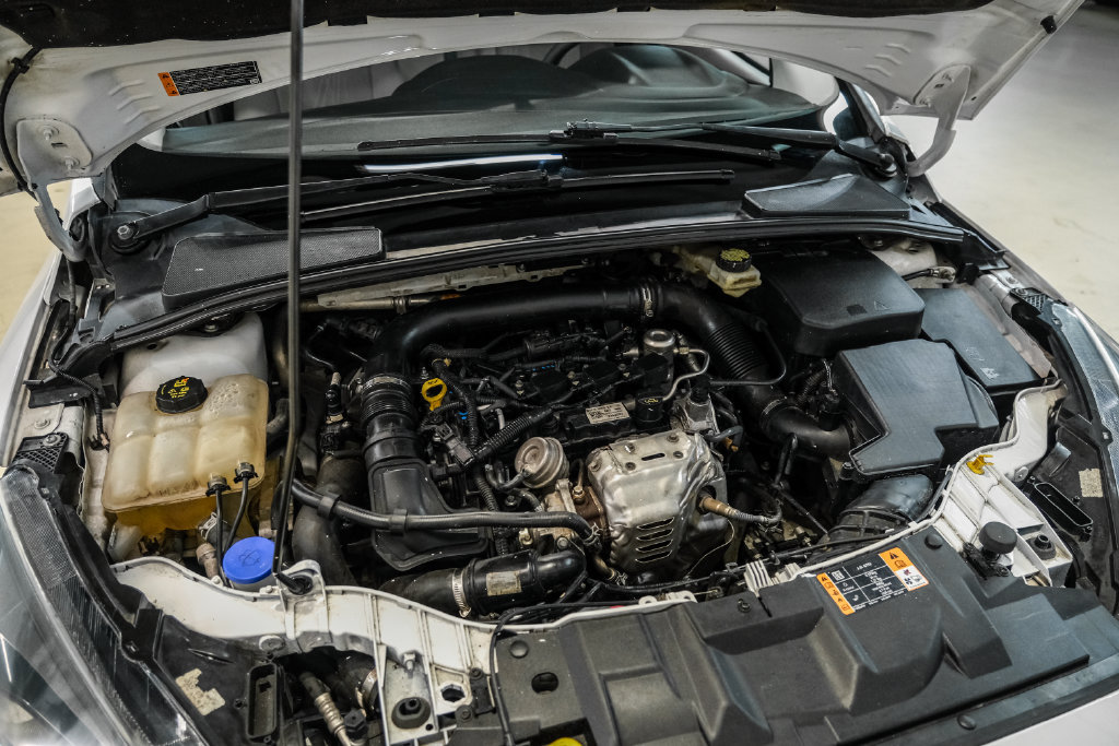 Used 2017 Ford Focus SE FWD image 50