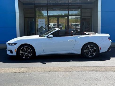 Used 2024 Ford Mustang Premium RWD image 1