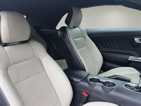 Used 2019 Ford Mustang Premium RWD image 11