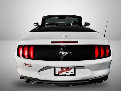 Used 2019 Ford Mustang Premium w/ Equipment Group 201A image 14