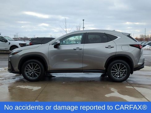 Used 2023 Lexus NX 350 AWD w/ Cold Area Package image 3