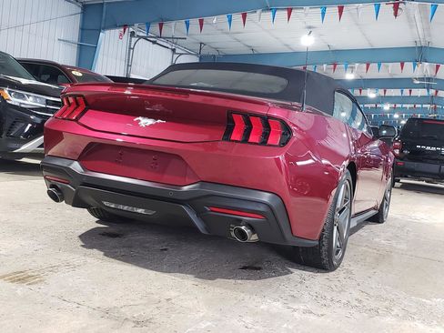 Used 2025 Ford Mustang Premium image 3