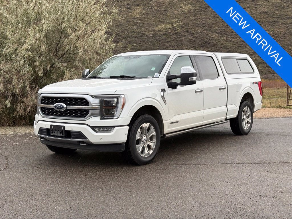 Used 2021 Ford F150 Platinum w/ Equipment Group 701A High AWD/4WD image 1