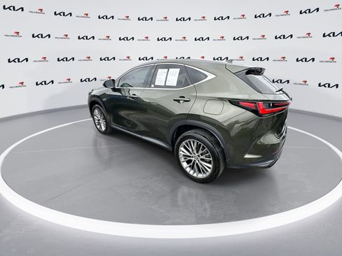 Used 2023 Lexus NX 350h AWD w/ Premium Package image 6