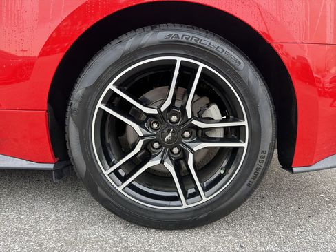 Used 2019 Ford Mustang Premium image 20