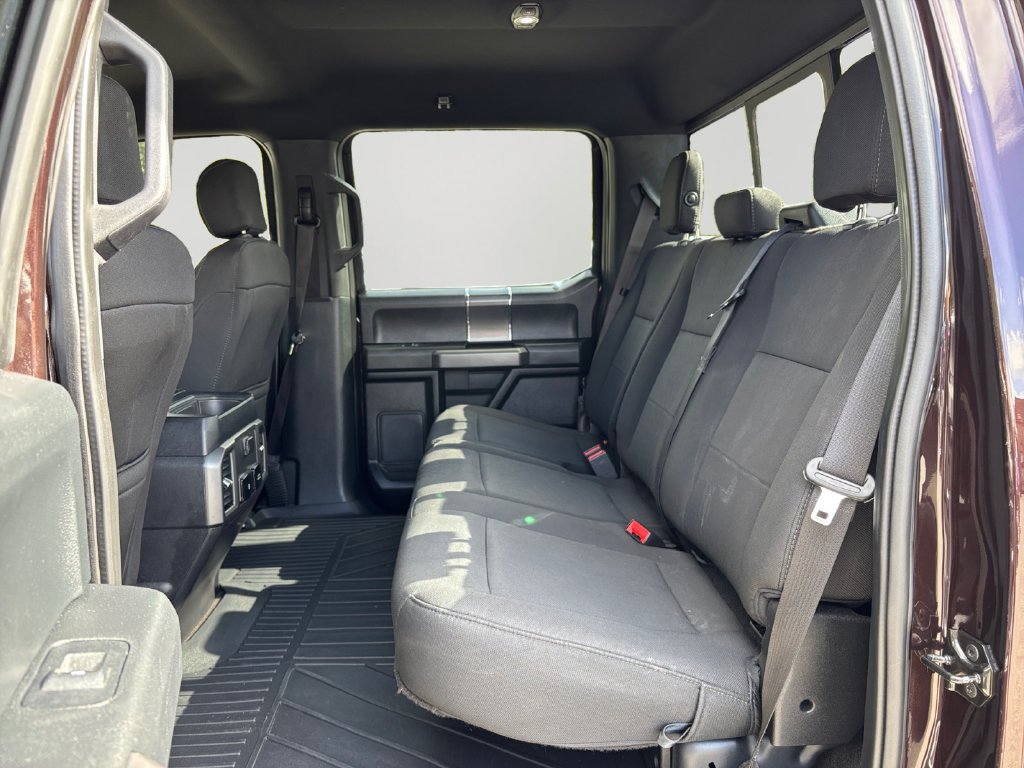 Used 2019 Ford F150 XLT w/ Equipment Group 302A Luxury AWD/4WD image 15