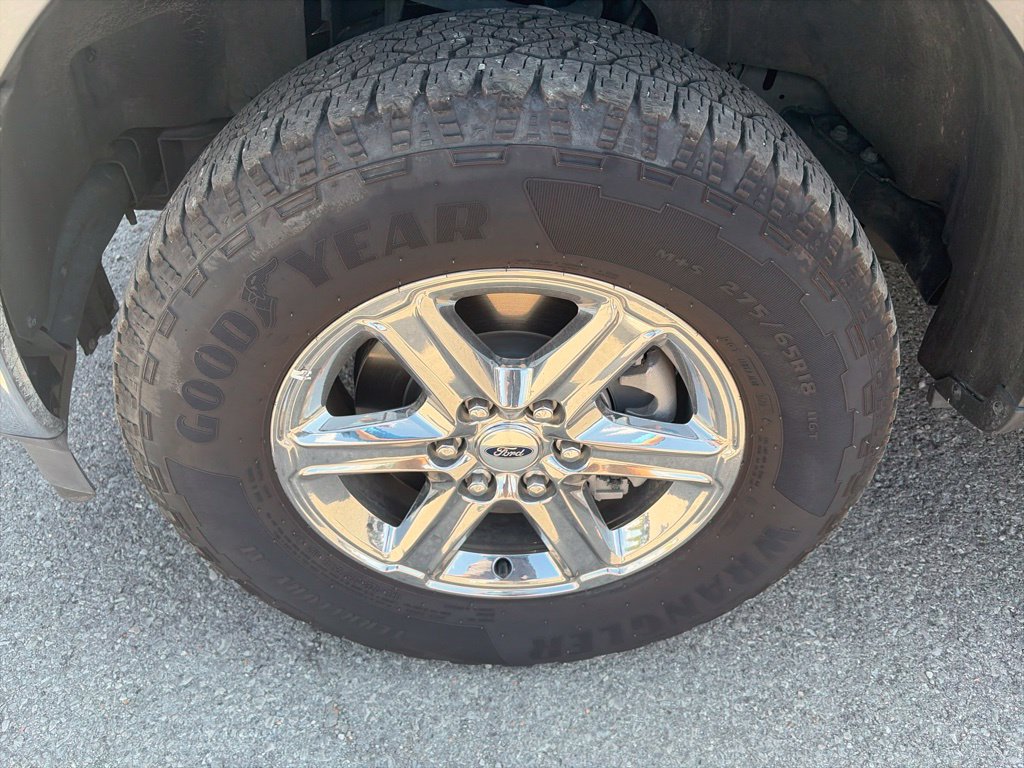 Used 2025 Ford F150 XLT w/ Equipment Group 301A Standard AWD/4WD image 10