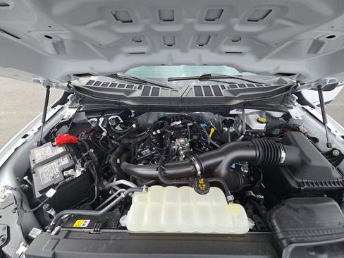 Used 2025 Ford F150 XLT w/ Equipment Group 301A Standard image 29