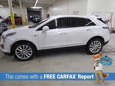 Used 2019 Cadillac XT5 Platinum AWD/4WD image 2