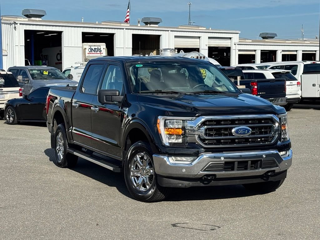 Used 2023 Ford F150 XLT w/ Equipment Group 302A High AWD/4WD image 1