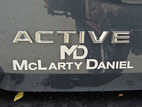 New 2025 Ford Expedition Active image 8