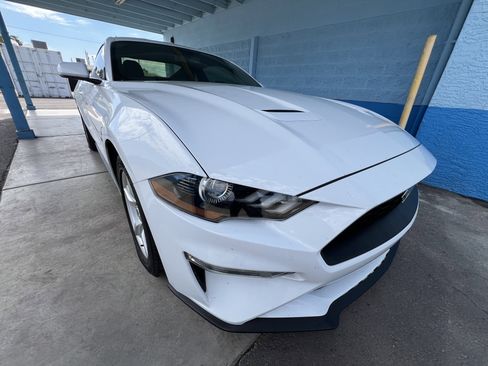 Used 2019 Ford Mustang EcoBoost Fastback image 1
