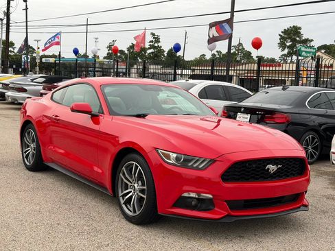 Used 2015 Ford Mustang Premium w/ Equipment Group 201A RWD image 5