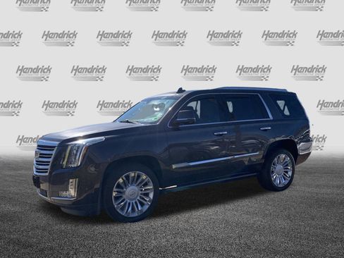 Used 2017 Cadillac Escalade Platinum image 5