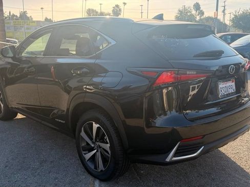 Used 2020 Lexus NX 300h AWD w/ Premium Package image 4