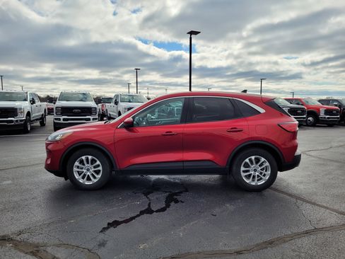 Used 2020 Ford Escape SE image 7