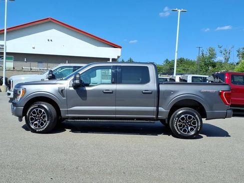 Used 2023 Ford F150 XLT w/ Equipment Group 302A High AWD/4WD image 2