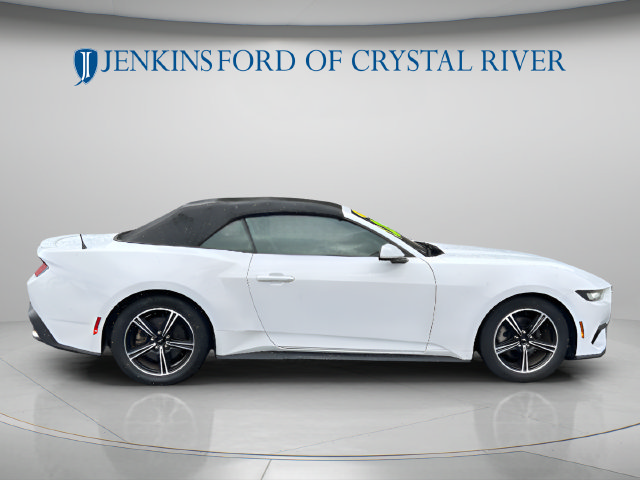 Used 2024 Ford Mustang Premium RWD image 5