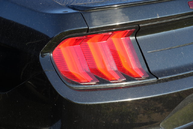 Used 2019 Ford Mustang GT Premium w/ Equipment Group 401A RWD image 17