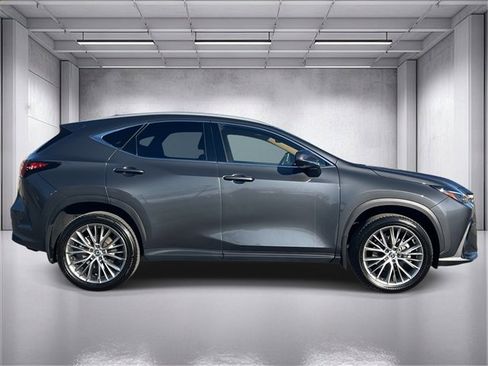 Used 2025 Lexus NX 350h AWD w/ Premium Package image 2