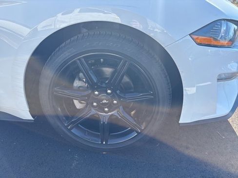 Used 2019 Ford Mustang Premium w/ Black Accent Package image 2