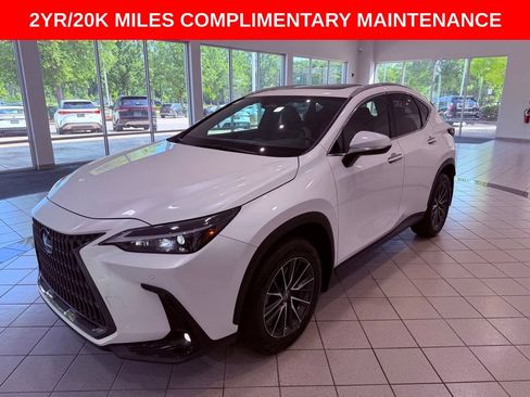 Certified 2024 Lexus NX 350 AWD image 3