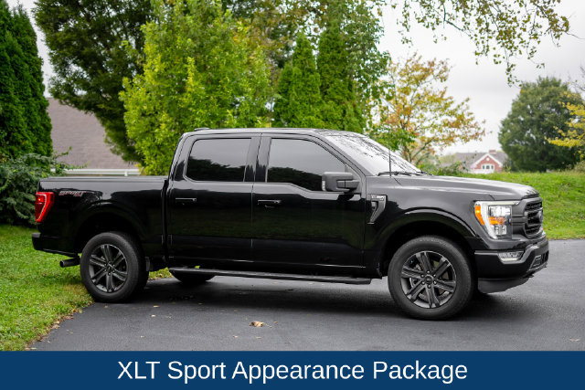 Used 2023 Ford F150 XLT w/ Equipment Group 302A High AWD/4WD image 4