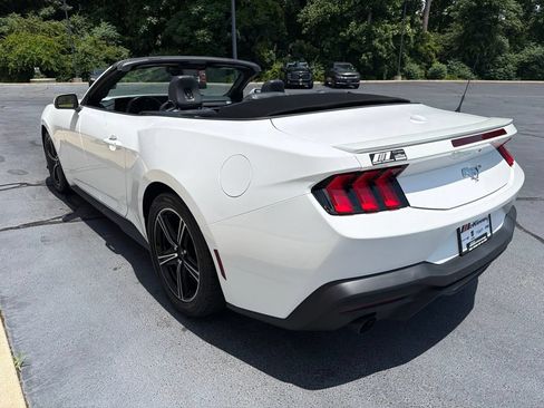 Used 2024 Ford Mustang Premium RWD image 13