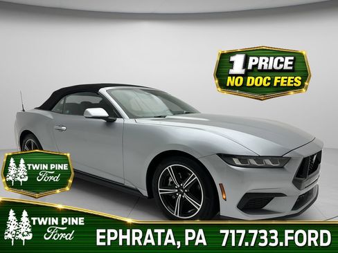 Used 2025 Ford Mustang Premium RWD image 1