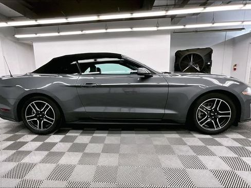 Used 2023 Ford Mustang Premium RWD image 14