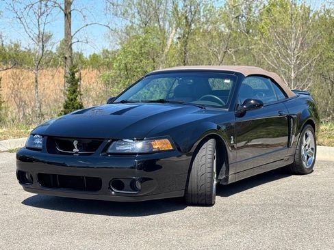 Used 2003 Ford Mustang Cobra RWD image 3