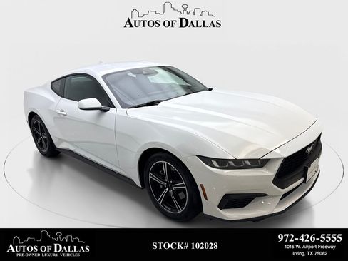 Used 2025 Ford Mustang Coupe RWD image 1