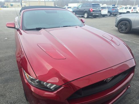 Used 2017 Ford Mustang GT Premium w/ Equipment Group 401A image 5