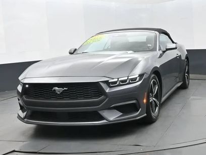 Used 2024 Ford Mustang Premium