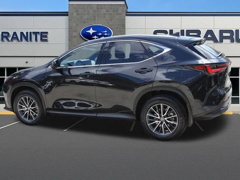 Used 2025 Lexus NX 350h AWD w/ Rear Seat Package image 8